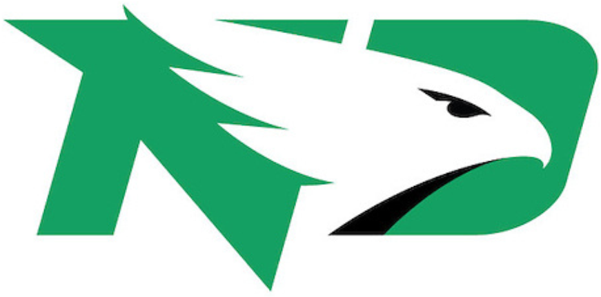 North Dakota Fighting Hawks 2016-Pres Primary Logo DIY iron on transfer (heat transfer)